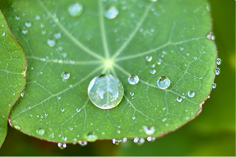 Hydrophobic Properties